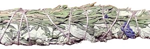 sage_lavender
