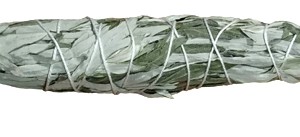 sage_sage