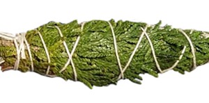 sage_smcedar